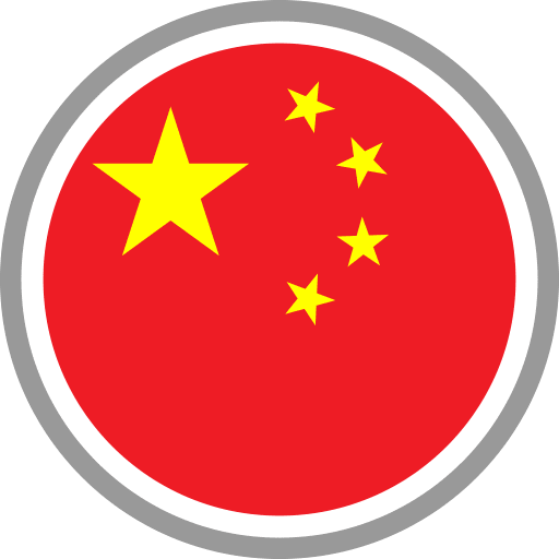 中文